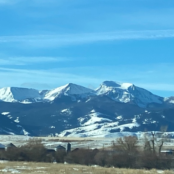 Loft Stars & Stripes One of a Kind Denim - Picture 9 of 16